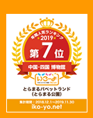 �����[��N�Ԑl�C�����L���O2019�@�����E�l�������ف@��7��