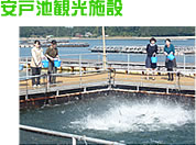 ���˒r�ό��{��