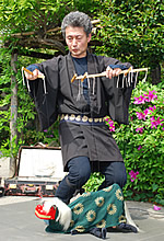 �t�x�݃p�y�b�g�t�F�X�^�����C���[�W