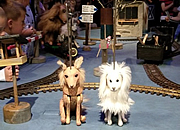 �l�`���c���|